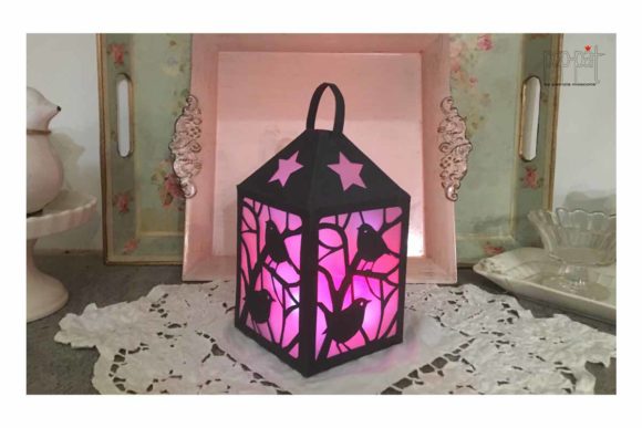 Choosing the Right Light: A Practical Guide to the Bird Lantern