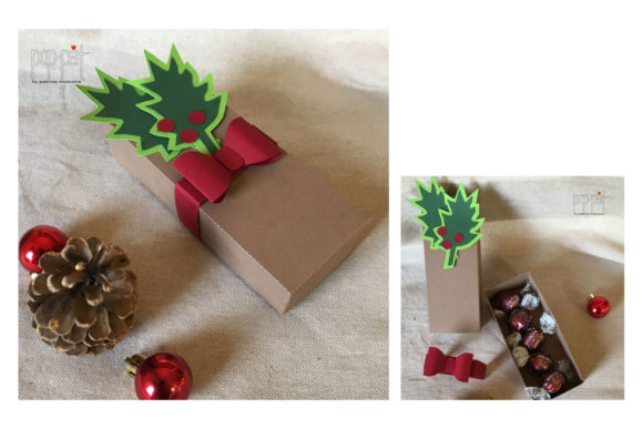 Evaluating Holly Box: A Practical Guide for Informed Decision-Making
