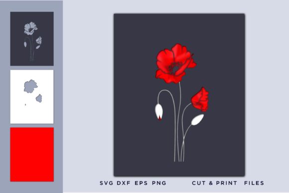 Red Poppies Flower in Design
