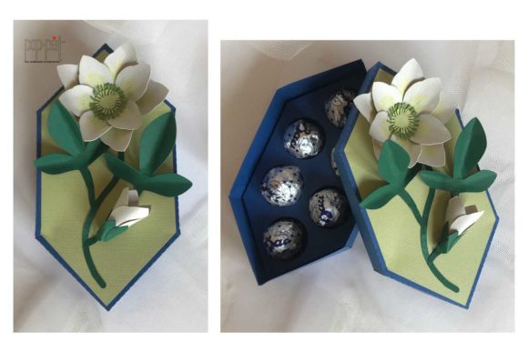 The Hellebore Box: Cultivating Winter Beauty with a Curated Touch